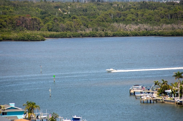 17920 Gulf Blvd Unit 1806, Redington Shores, FL 33708 - water view with a forest and a boat dock
