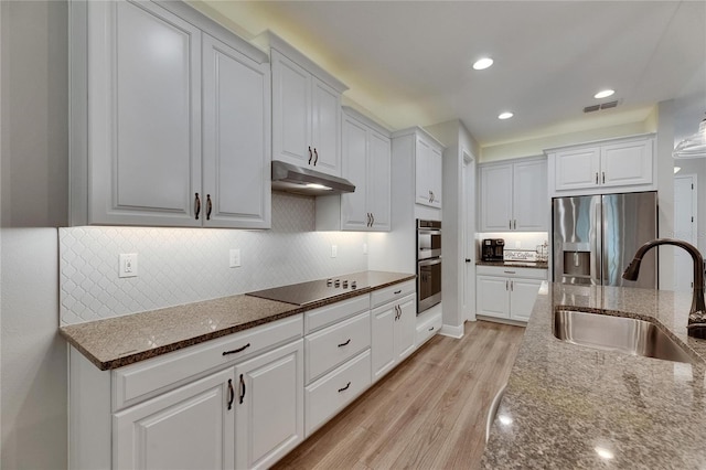 12957 Satin Lily Dr, Riverview, FL 33579 - kitchen with stainless steel appliances, a sink, under cabinet range hood, light wood-style floors, and dark stone counters