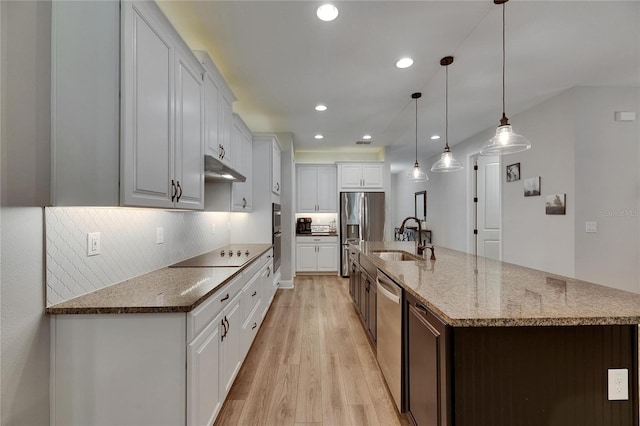 12957 Satin Lily Dr, Riverview, FL 33579 - kitchen with appliances with stainless steel finishes, a sink, light wood finished floors, under cabinet range hood, and white cabinetry