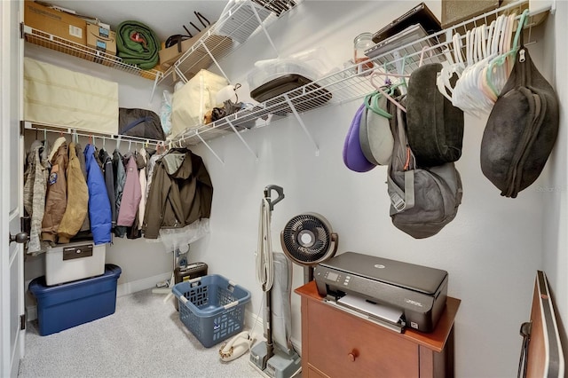 12957 Satin Lily Dr, Riverview, FL 33579 - walk in closet with carpet flooring