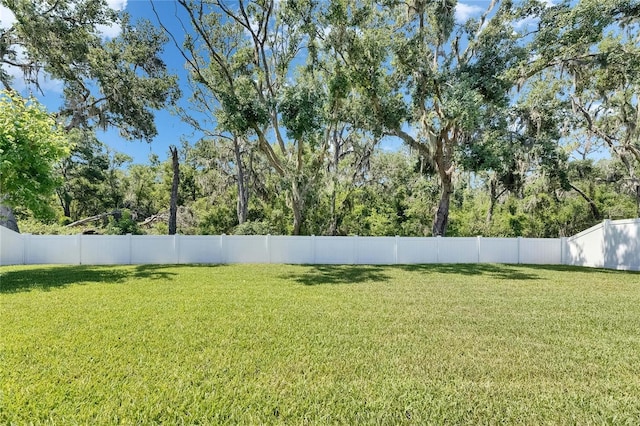 12957 Satin Lily Dr, Riverview, FL 33579 - view of yard featuring view of wooded area