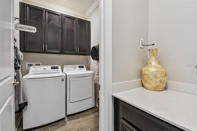 751 Cajeput Loop, Tarpon Springs, FL 34689 - washroom with cabinet space, washing machine and clothes dryer, wood finished floors, and ornamental molding