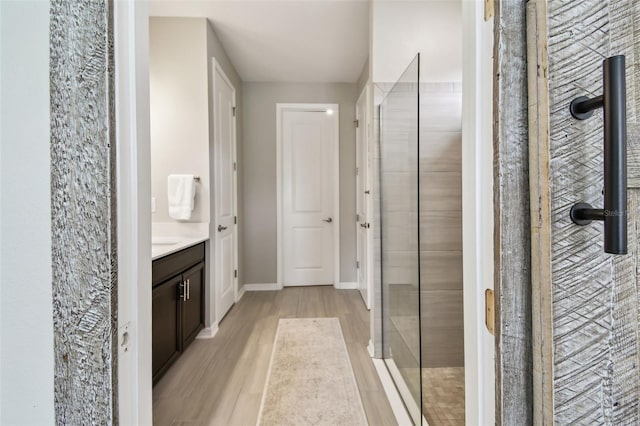 751 Cajeput Loop, Tarpon Springs, FL 34689 - full bath featuring vanity, wood finished floors, tiled shower, and baseboards