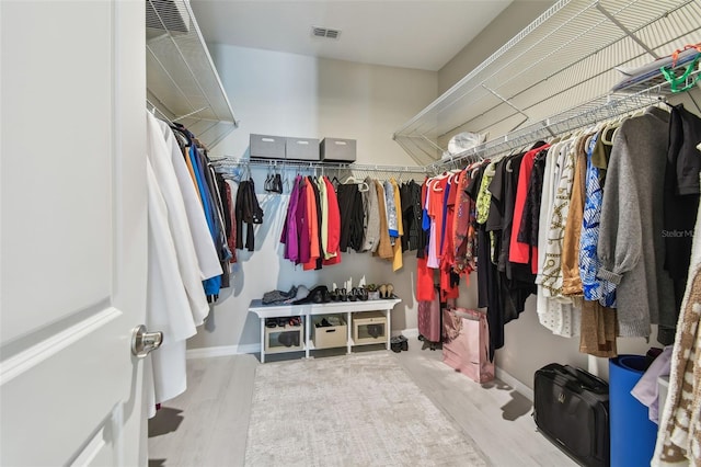 751 Cajeput Loop, Tarpon Springs, FL 34689 - spacious closet featuring wood finished floors