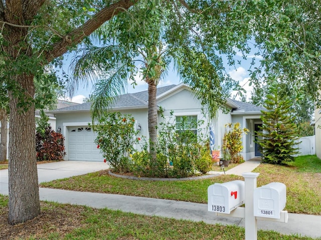 13803 Chalk Hill Pl, Riverview, FL 33579 - single story home with stucco siding, a garage, concrete driveway, and roof with shingles