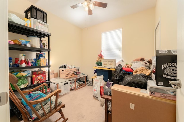 13803 Chalk Hill Pl, Riverview, FL 33579 - storage area with a ceiling fan