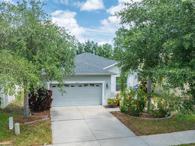 13803 Chalk Hill Pl, Riverview, FL 33579 - view of front of house with a shingled roof, driveway, a garage, and stucco siding