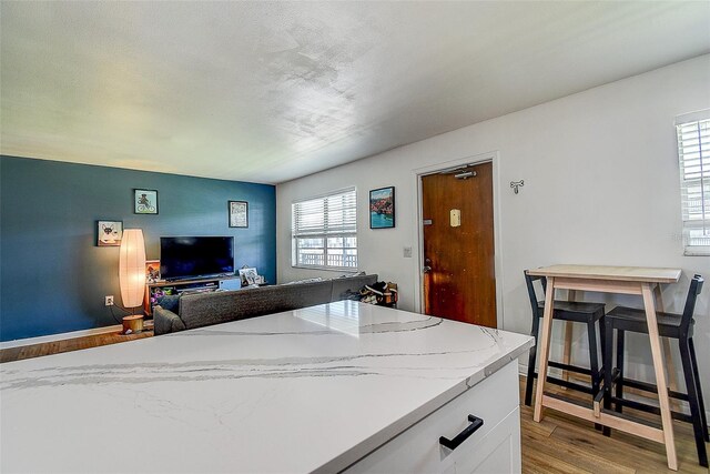 4050 4th St N Unit 205, Saint Petersburg, FL 33703 - kitchen with wood finished floors, white cabinetry, light stone counters, and open floor plan