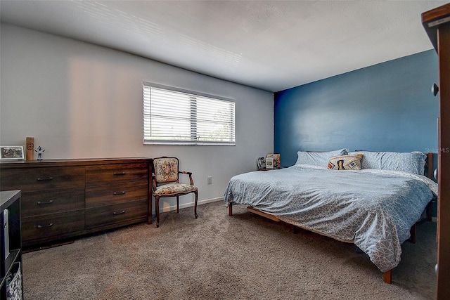 4050 4th St N Unit 205, Saint Petersburg, FL 33703 - view of carpeted bedroom