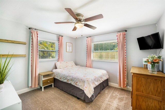 6490 22nd St S, Saint Petersburg, FL 33712 - photo 17