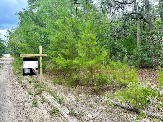 Cedar Trl, Interlachen, FL 32148