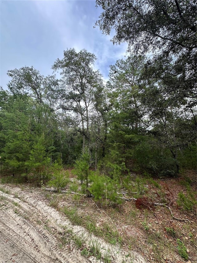 Cedar Trl, Interlachen, FL 32148