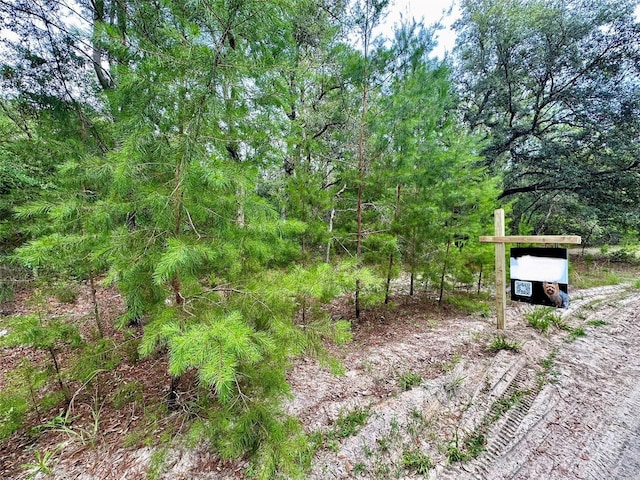 Cedar Trl, Interlachen, FL 32148