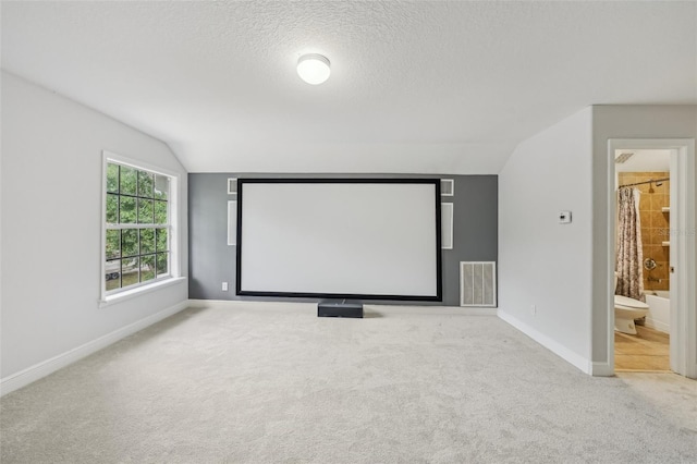 707 9th Ave SW, Ruskin, FL 33570 - cinema featuring lofted ceiling, carpet floors, baseboards, and a textured ceiling