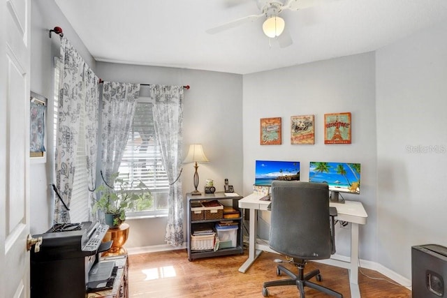 5525 Turtle Crossing Loop, Tampa, FL 33625 - office area with baseboards, wood finished floors, and a ceiling fan