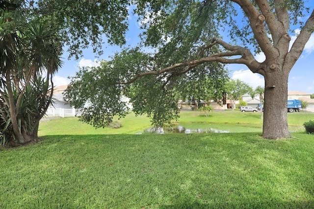 5525 Turtle Crossing Loop, Tampa, FL 33625 - view of grassy yard