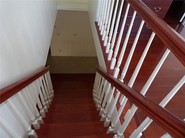 31 Freshwater Dr, Palm Harbor, FL 34684 - stairway with wood finished floors