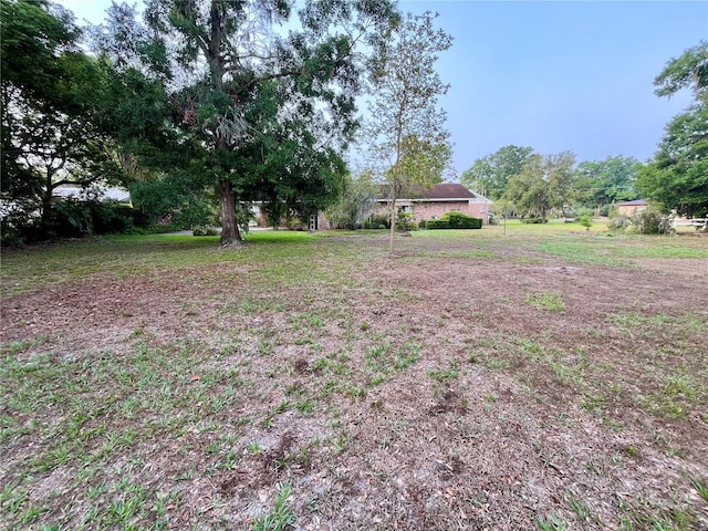 1002 W Pinedale Dr, Plant City, FL 33563 - view of yard
