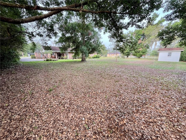 1002 W Pinedale Dr, Plant City, FL 33563 - view of yard with an outdoor structure