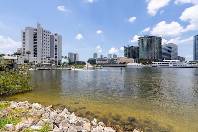 727 Coral Reef Dr, Tampa, FL 33602 - photo 46