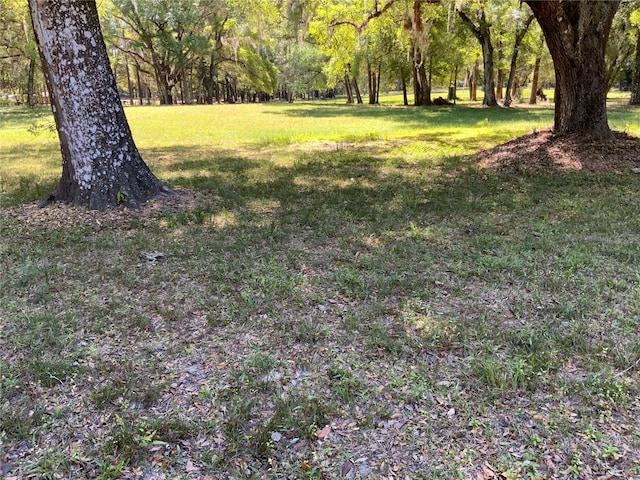 Burkitt Rd, Dunnellon, FL 34432