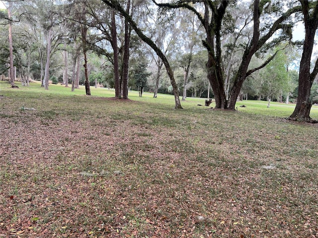 Burkitt Rd, Dunnellon, FL 34432