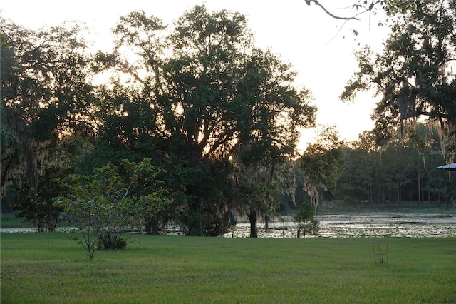 22839 Bungalow Ln, Land O Lakes, FL 34639 - photo 3