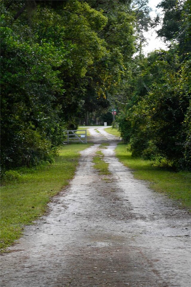 22839 Bungalow Ln, Land O Lakes, FL 34639 - photo 4