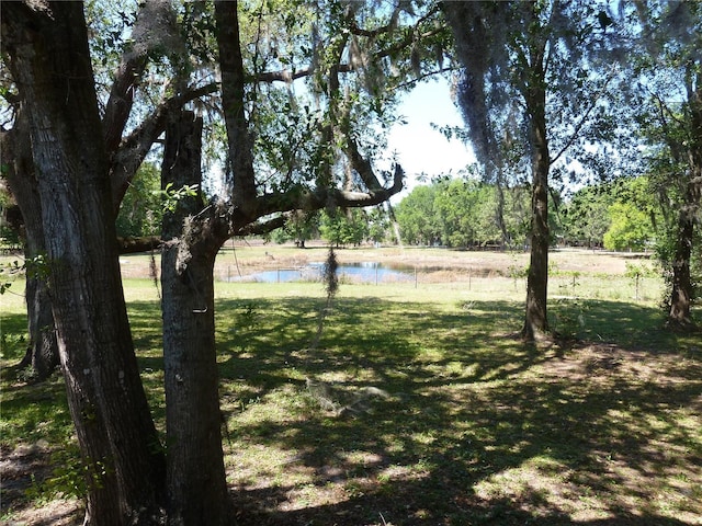 22839 Bungalow Ln, Land O Lakes, FL 34639 - photo 8