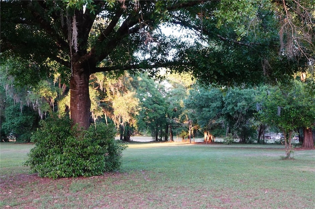 22839 Bungalow Ln, Land O Lakes, FL 34639 - photo 14