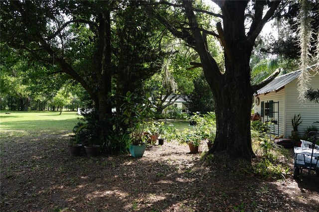 22839 Bungalow Ln, Land O Lakes, FL 34639 - photo 15