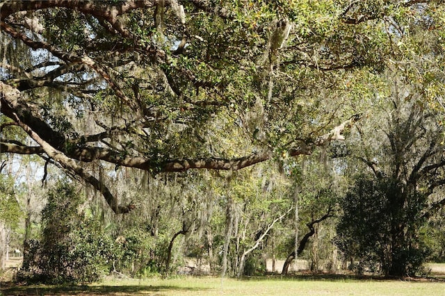 22839 Bungalow Ln, Land O Lakes, FL 34639 - photo 23