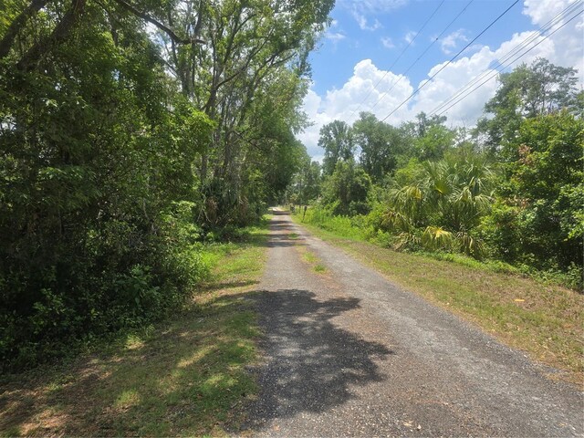 22839 Bungalow Ln, Land O Lakes, FL 34639 - photo 30