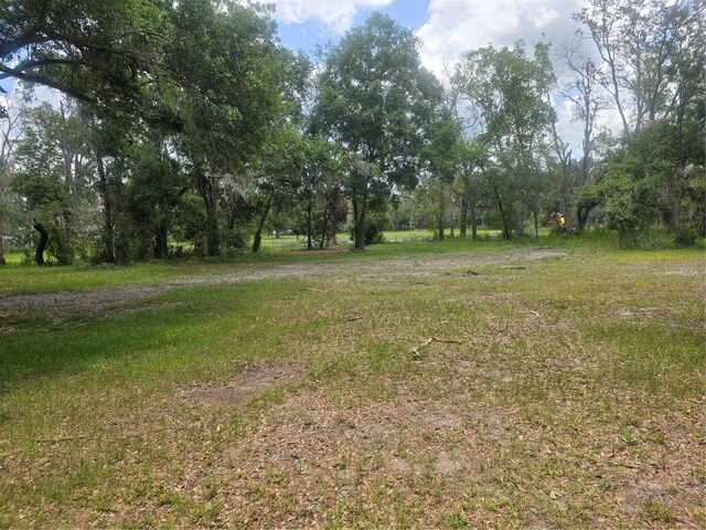 22839 Bungalow Ln, Land O Lakes, FL 34639 - photo 33