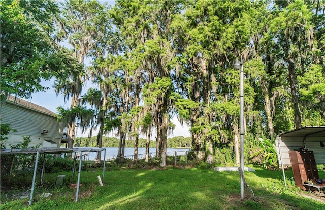 10818 Land O Lakes Blvd, Land O Lakes, FL 34638 - view of yard featuring a water view
