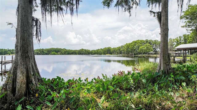 10818 Land O Lakes Blvd, Land O Lakes, FL 34638 - photo 4