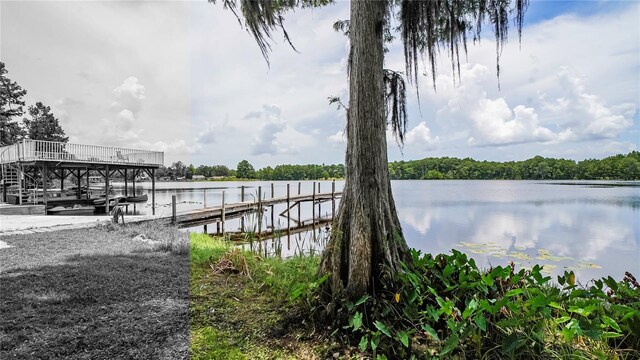 10818 Land O Lakes Blvd, Land O Lakes, FL 34638 - photo 24