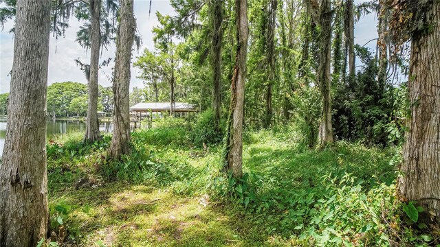 10818 Land O Lakes Blvd, Land O Lakes, FL 34638 - photo 25