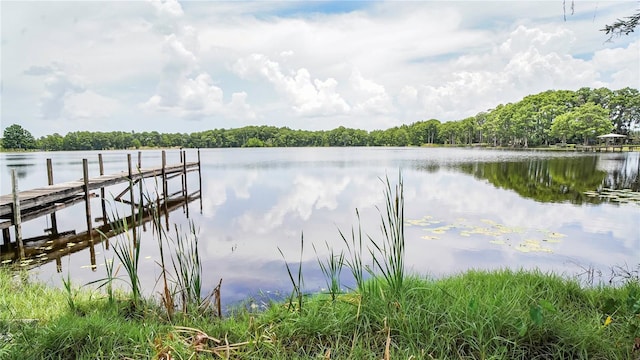 10818 Land O Lakes Blvd, Land O Lakes, FL 34638 - photo 26