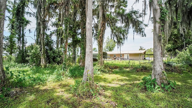 10818 Land O Lakes Blvd, Land O Lakes, FL 34638 - photo 27
