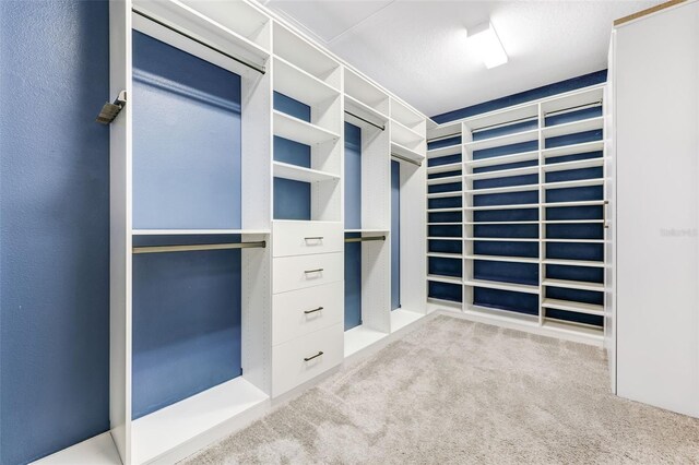 11726 Sunburst Marble Rd, Riverview, FL 33579 - spacious closet with carpet flooring