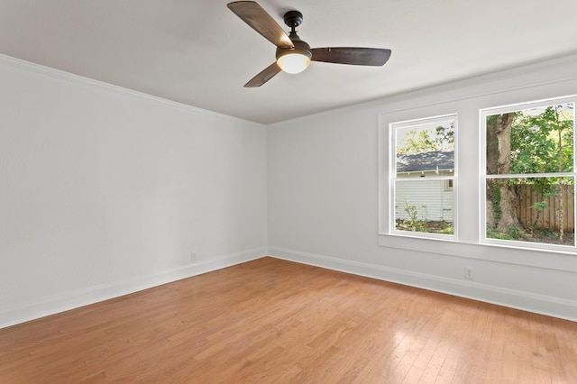 1003 E Emma St, Tampa, FL 33603 - photo 15