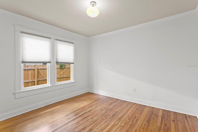 1003 E Emma St, Tampa, FL 33603 - photo 21