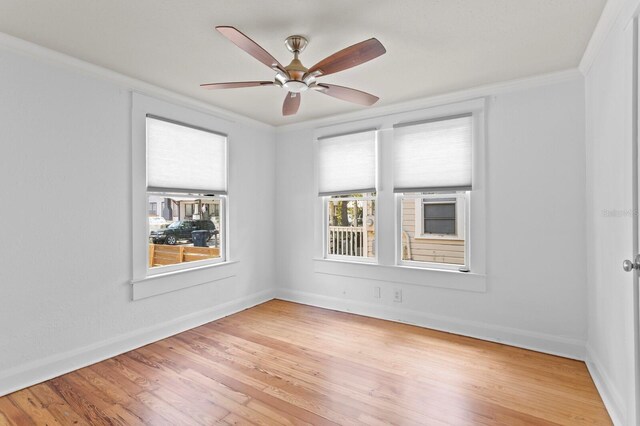 1003 E Emma St, Tampa, FL 33603 - photo 22