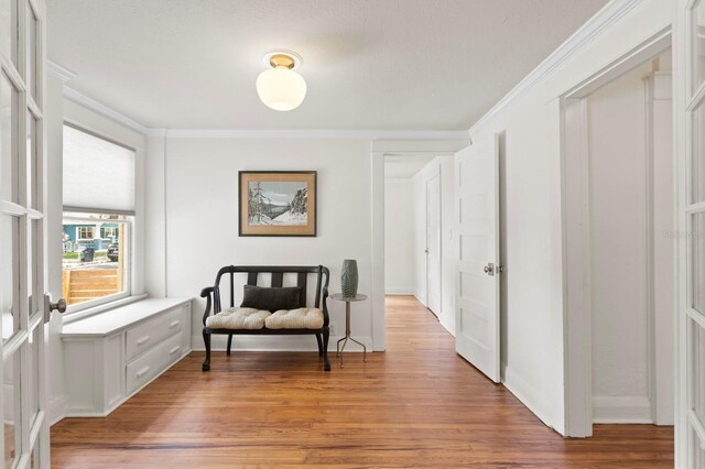 1003 E Emma St, Tampa, FL 33603 - photo 25
