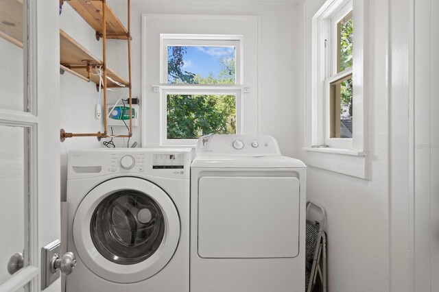 1003 E Emma St, Tampa, FL 33603 - photo 28
