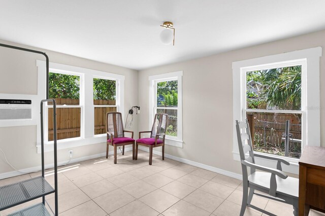 1003 E Emma St, Tampa, FL 33603 - photo 31