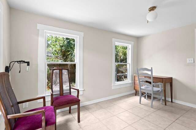 1003 E Emma St, Tampa, FL 33603 - photo 32