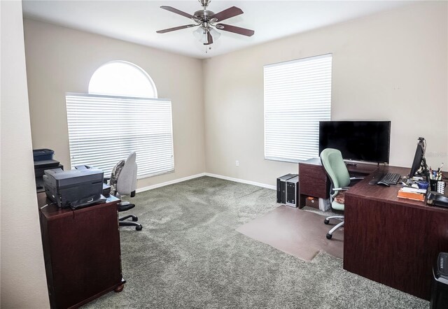 29650 Eagle Station Dr, Wesley Chapel, FL 33543 - photo 7