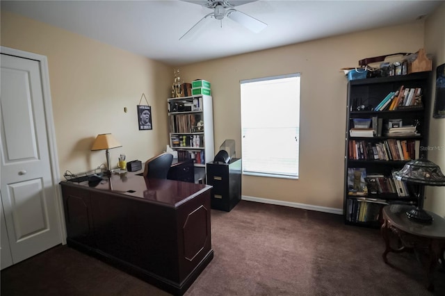 29650 Eagle Station Dr, Wesley Chapel, FL 33543 - photo 16